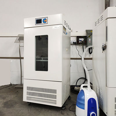 Programmeerbare de Kamer van de de Temperatuurvochtigheid van de laboratoriumincubator